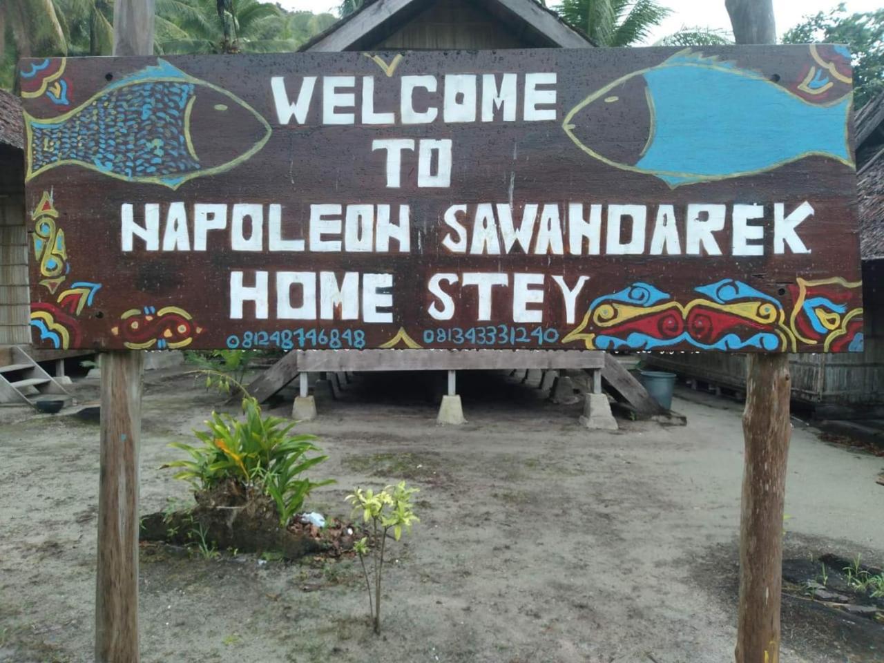 5, Napoleon sawandarek Homestay, Raja Ampat