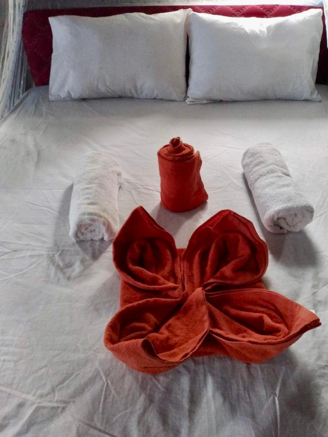 3, Napoleon sawandarek Homestay, Raja Ampat
