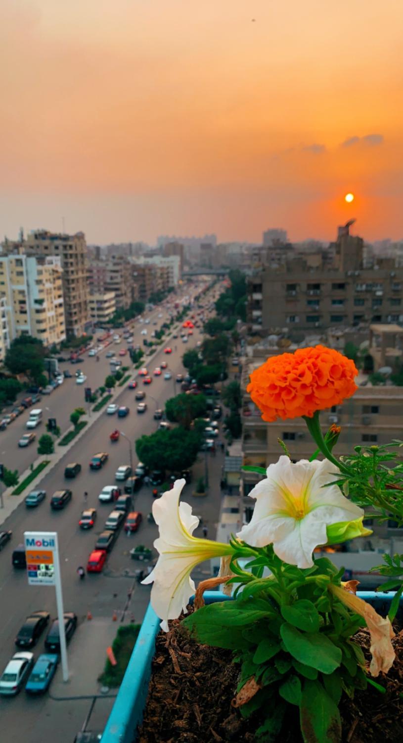 Others 4, بيت السمو, An-Nuzhah