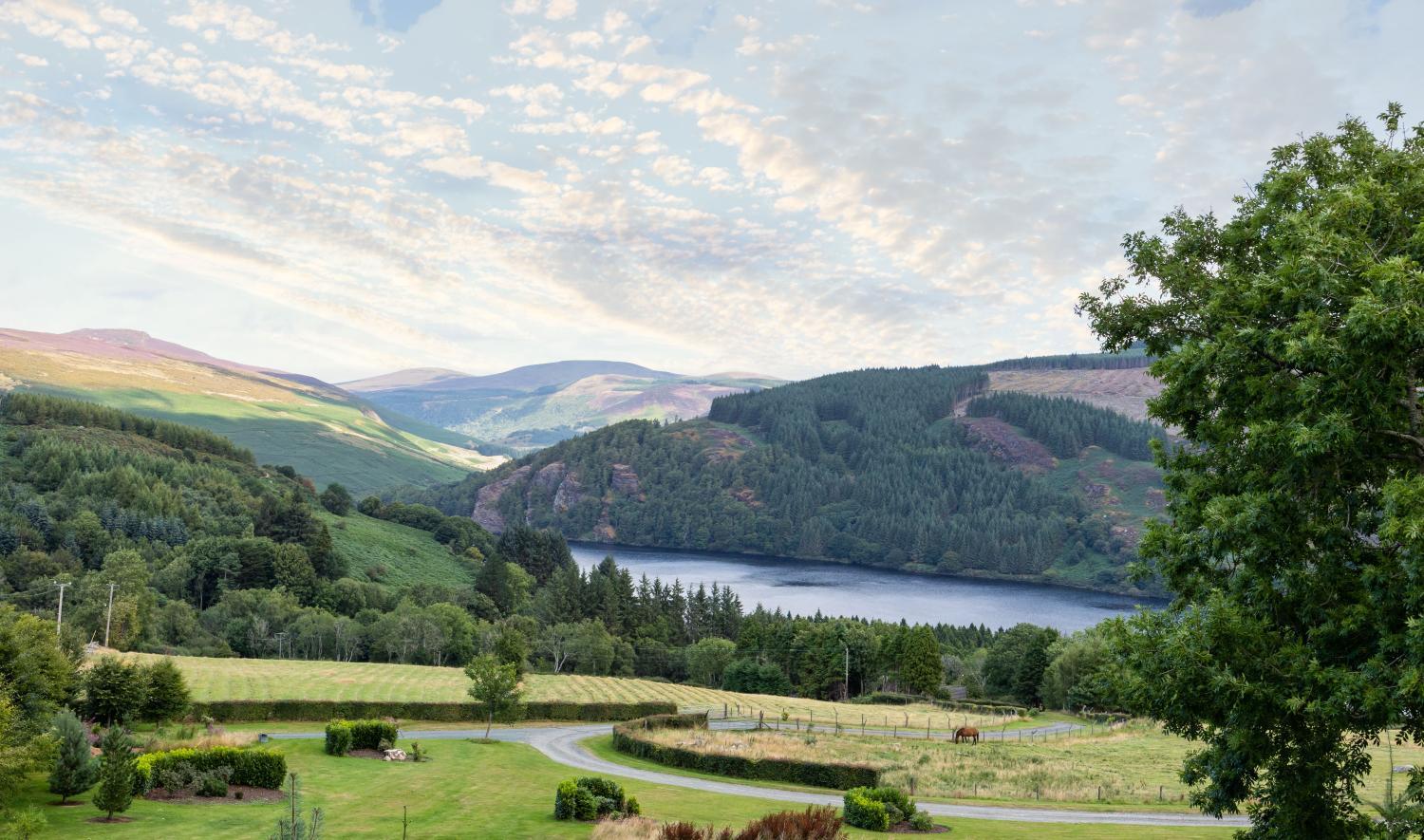 View 5, LD1000 ,Lough Dan