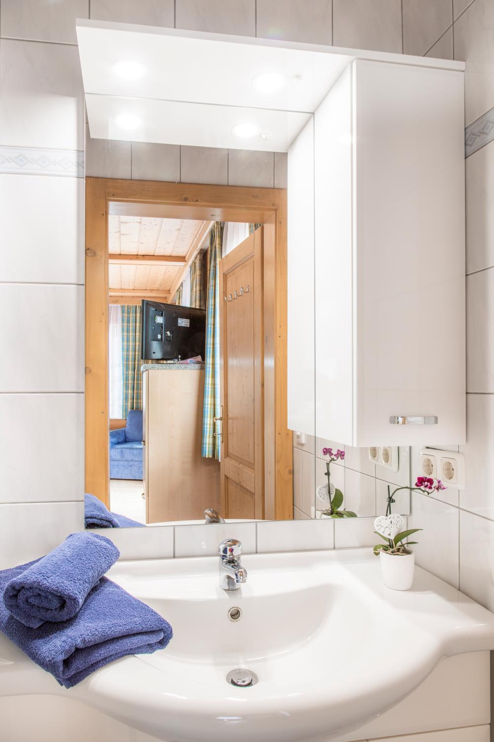 Bathroom 3, Hallmoosgut, Sankt Johann im Pongau