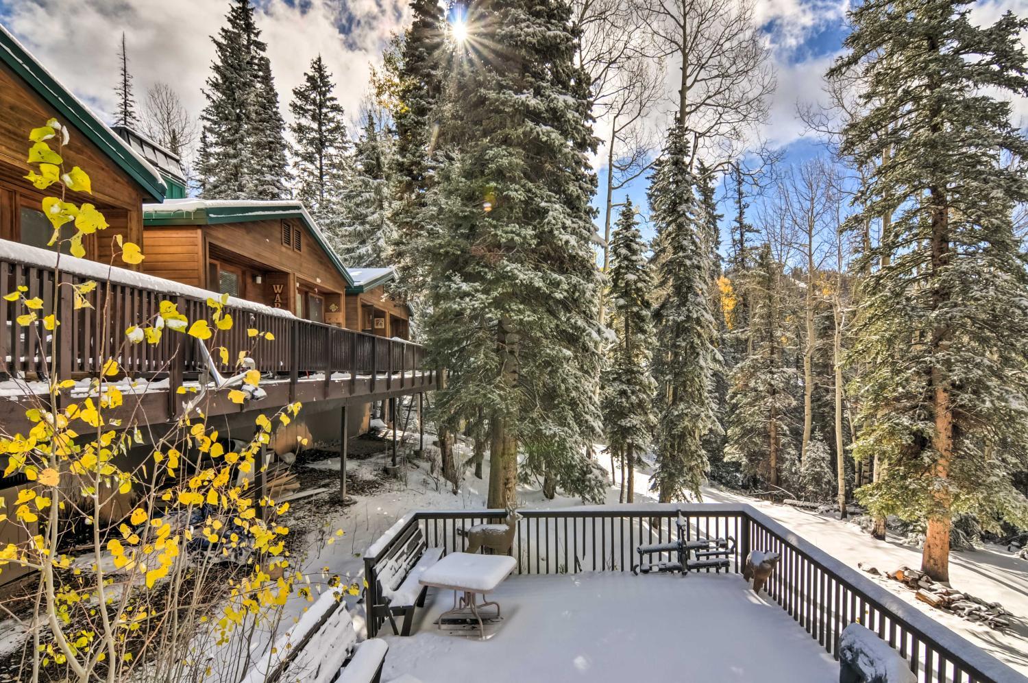 The Cottages Chic Ski-In and Ski-Out Mountain Condo!, Beaver