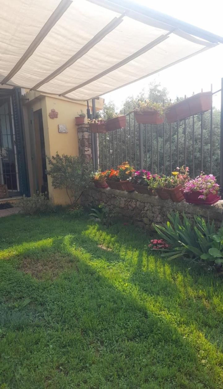Garden 5, Ca' di Buizan, Savona