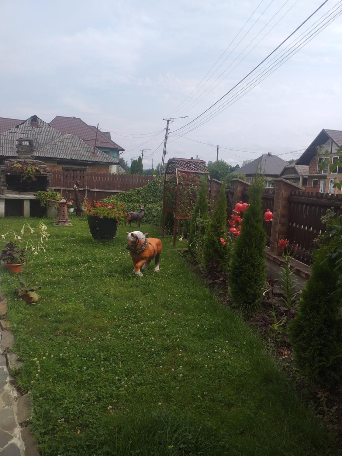 5, Pensiunea Rednic Lenuta, Giulesti