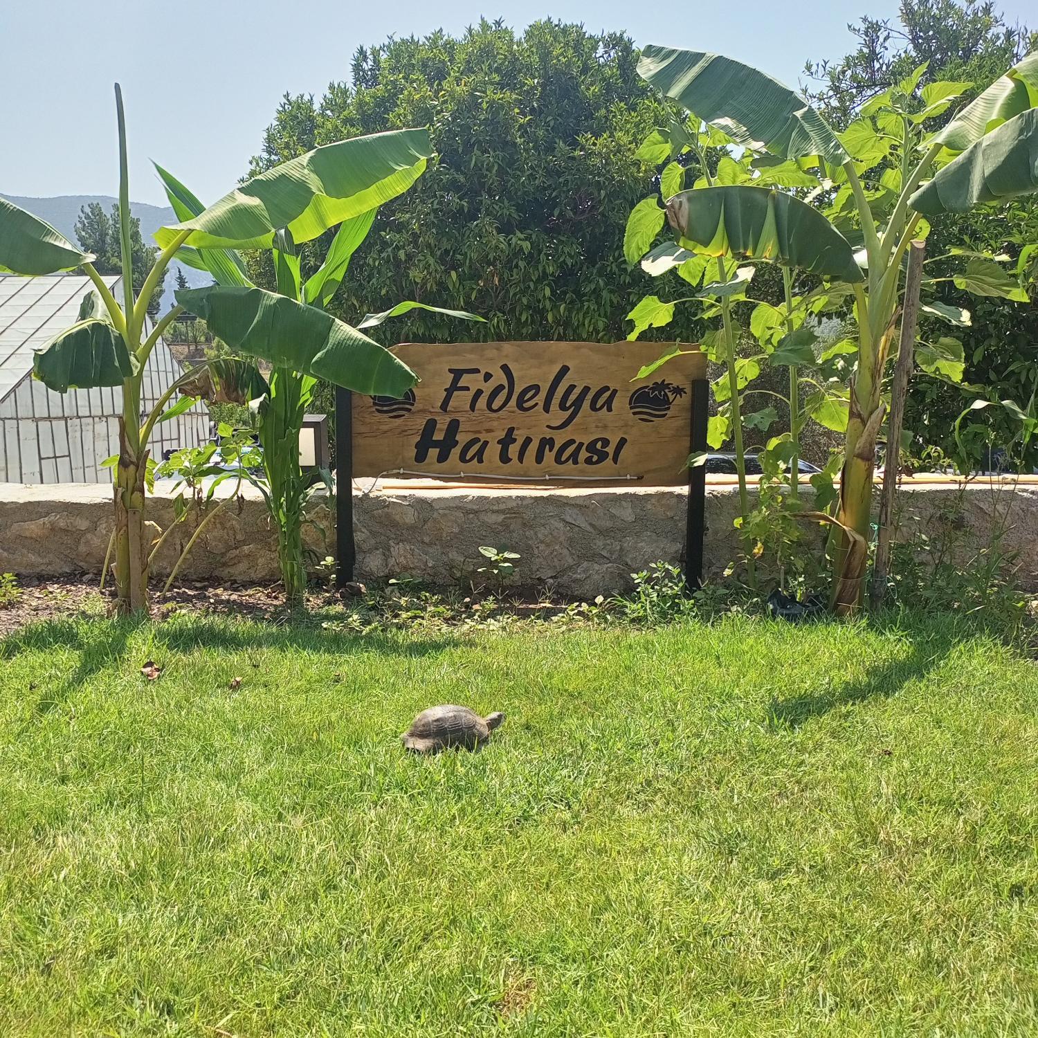 Garden 4, Fidelya Bungalow Evleri, Kumluca