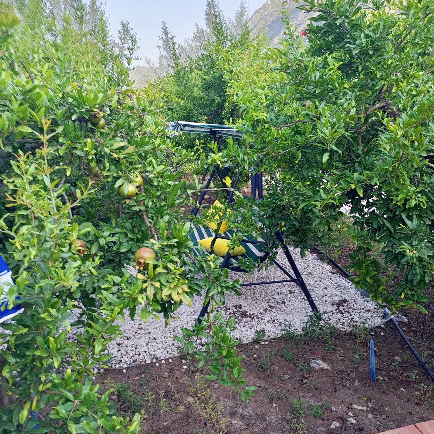 Garden 2, Fidelya Bungalow Evleri, Kumluca