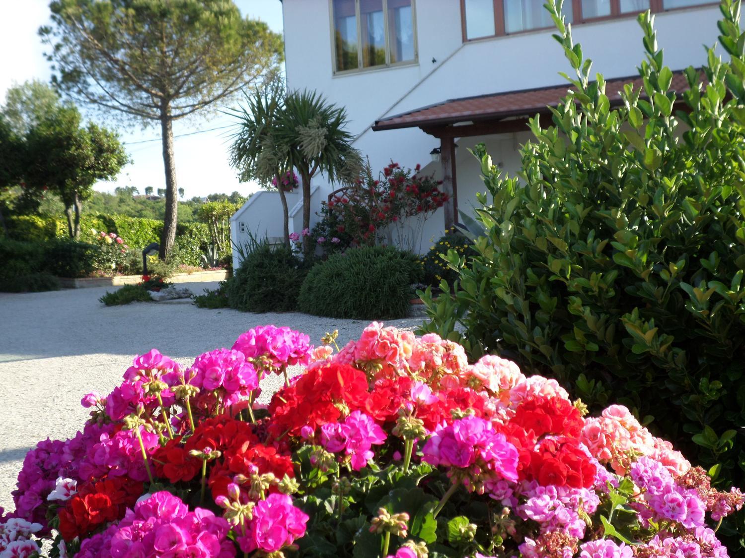 2, Bed and Breakfast " Il Tesoro di Mario ", Ancona