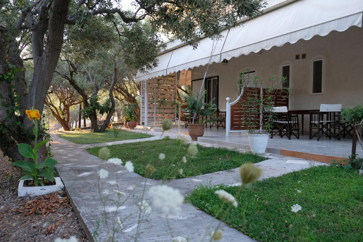 2, Maria Andreou, Central Greece