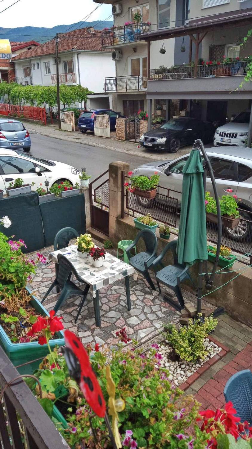 Garden, Homestay Zana House