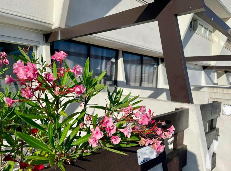 2, Cap d'Agde Naturist Exclusive Studio, Hérault