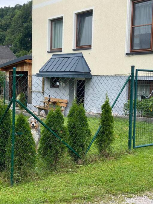 5, Gemutliche kleine Wohnung mit Garten, Liezen