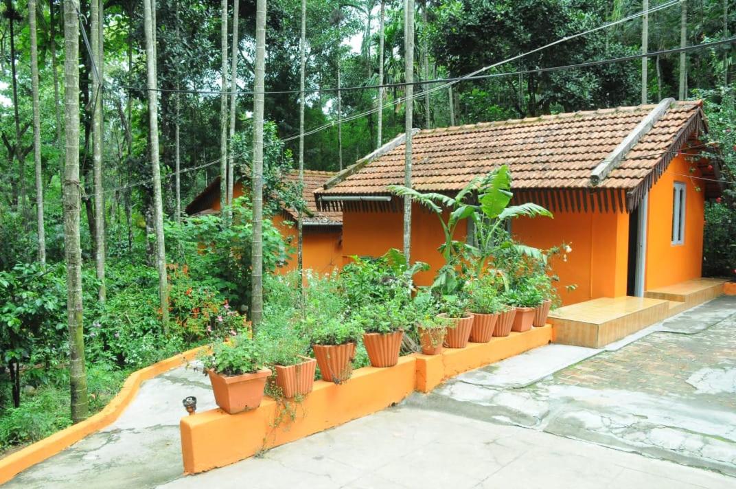 Others 3, Vamoose Homestay Halligade, Chikmagalur