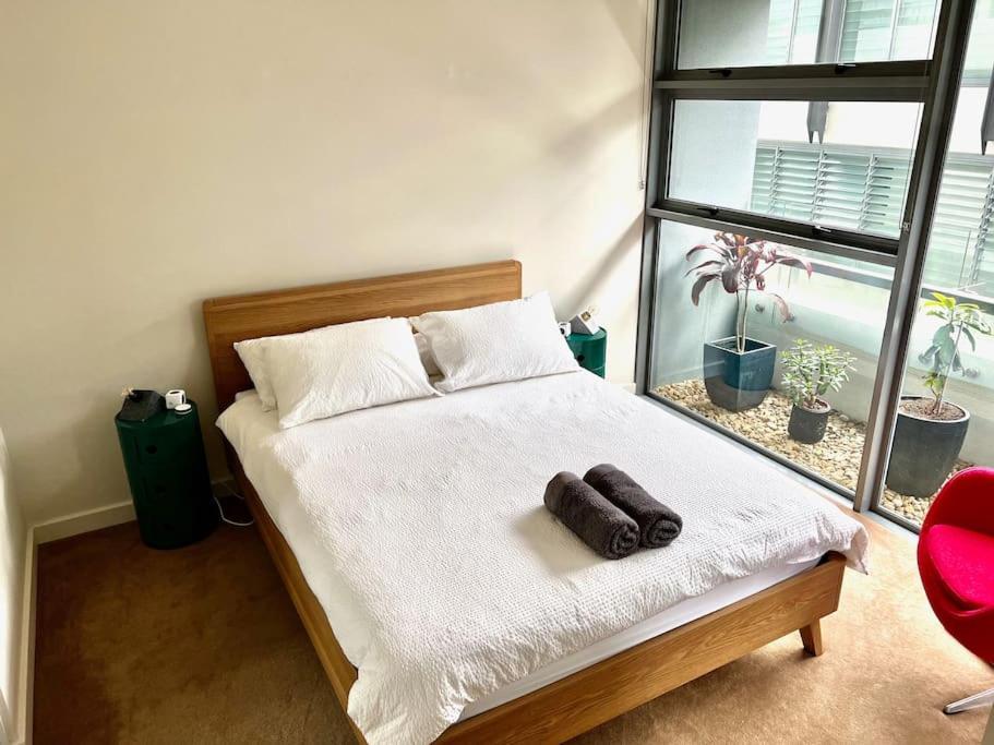 Comfortable 1 bedroom apartment in Crows Nest, Sydney