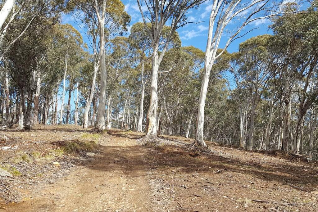 1, Wild Brumby- A cozy home away from home, Towong - Pt B