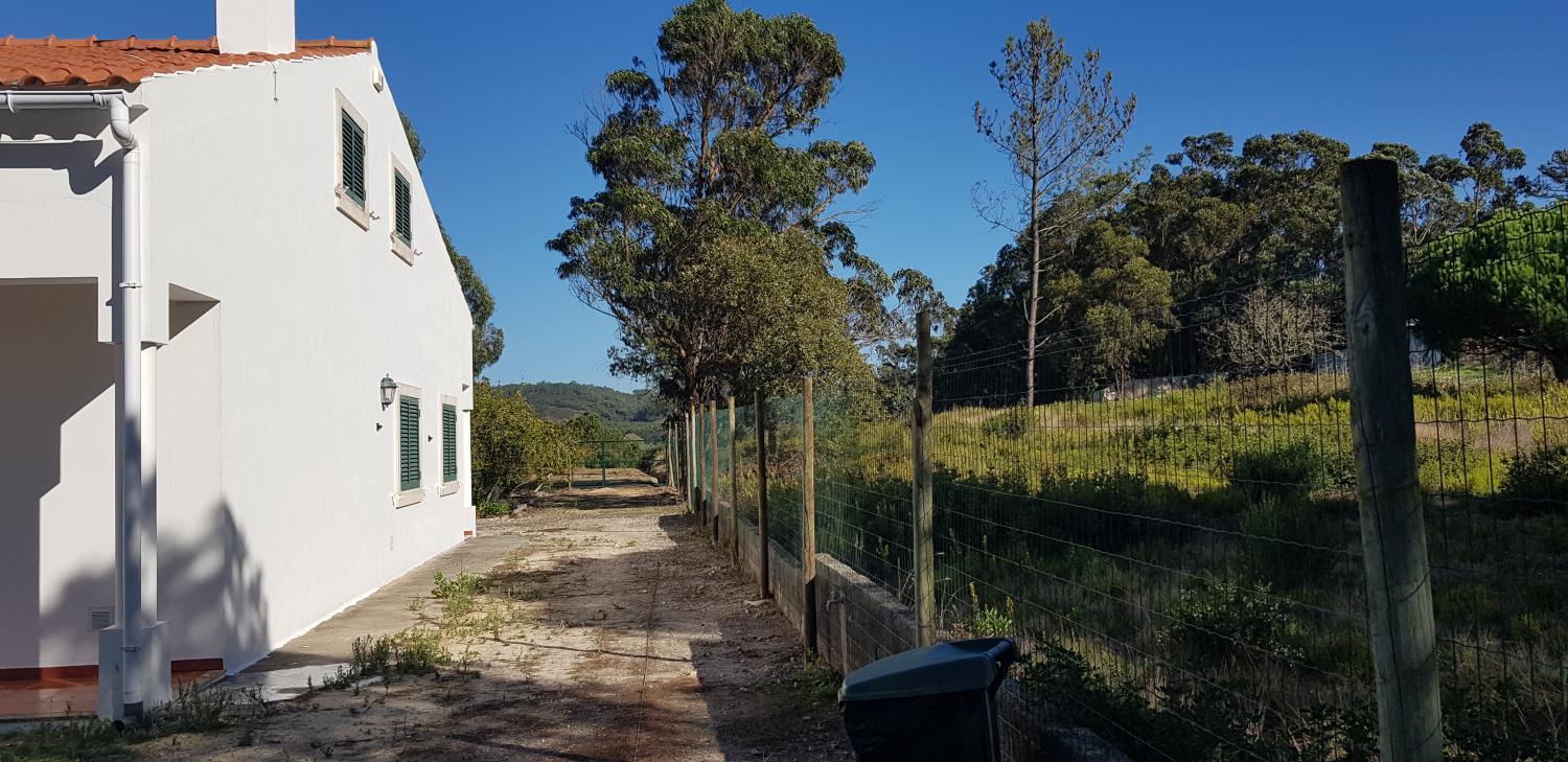 Surrounding environment 3, Casa dos Morgados, Caldas da Rainha