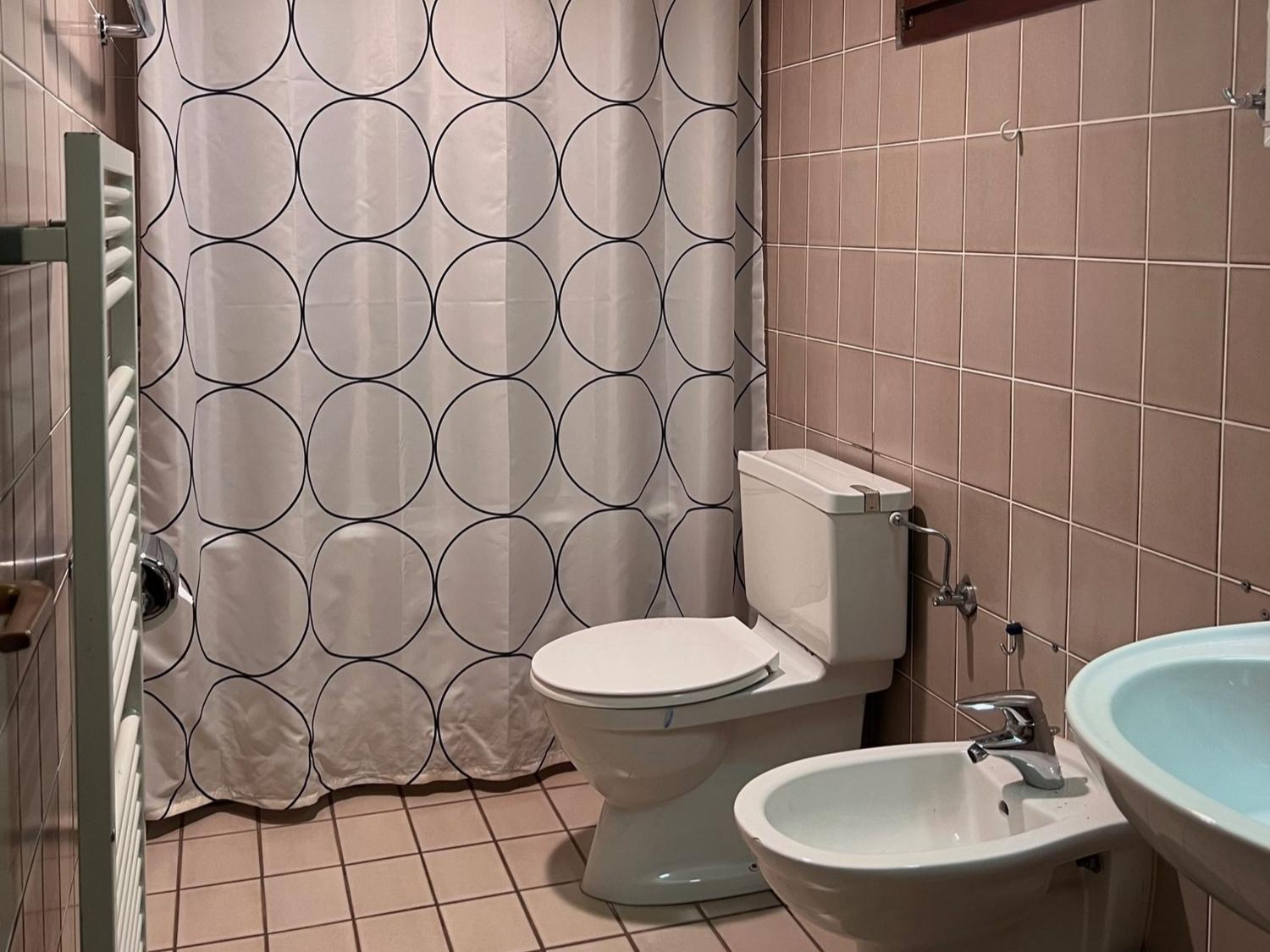 Bathroom, Ferienwohnung Alpenblick Ruetschlin, Lörrach