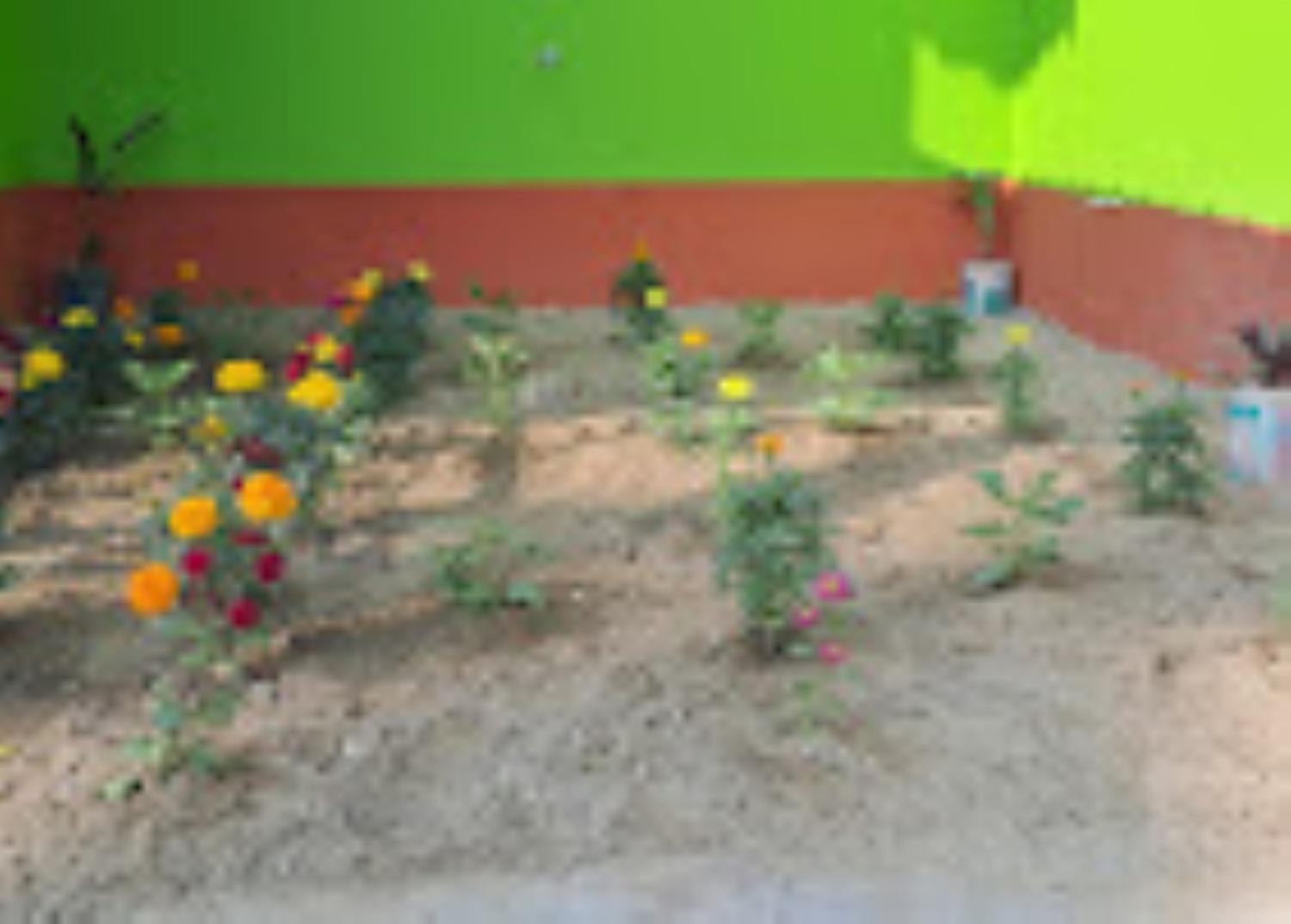 Exterior view 3, Myna Eco Camp ,Raghabbil, Baksa