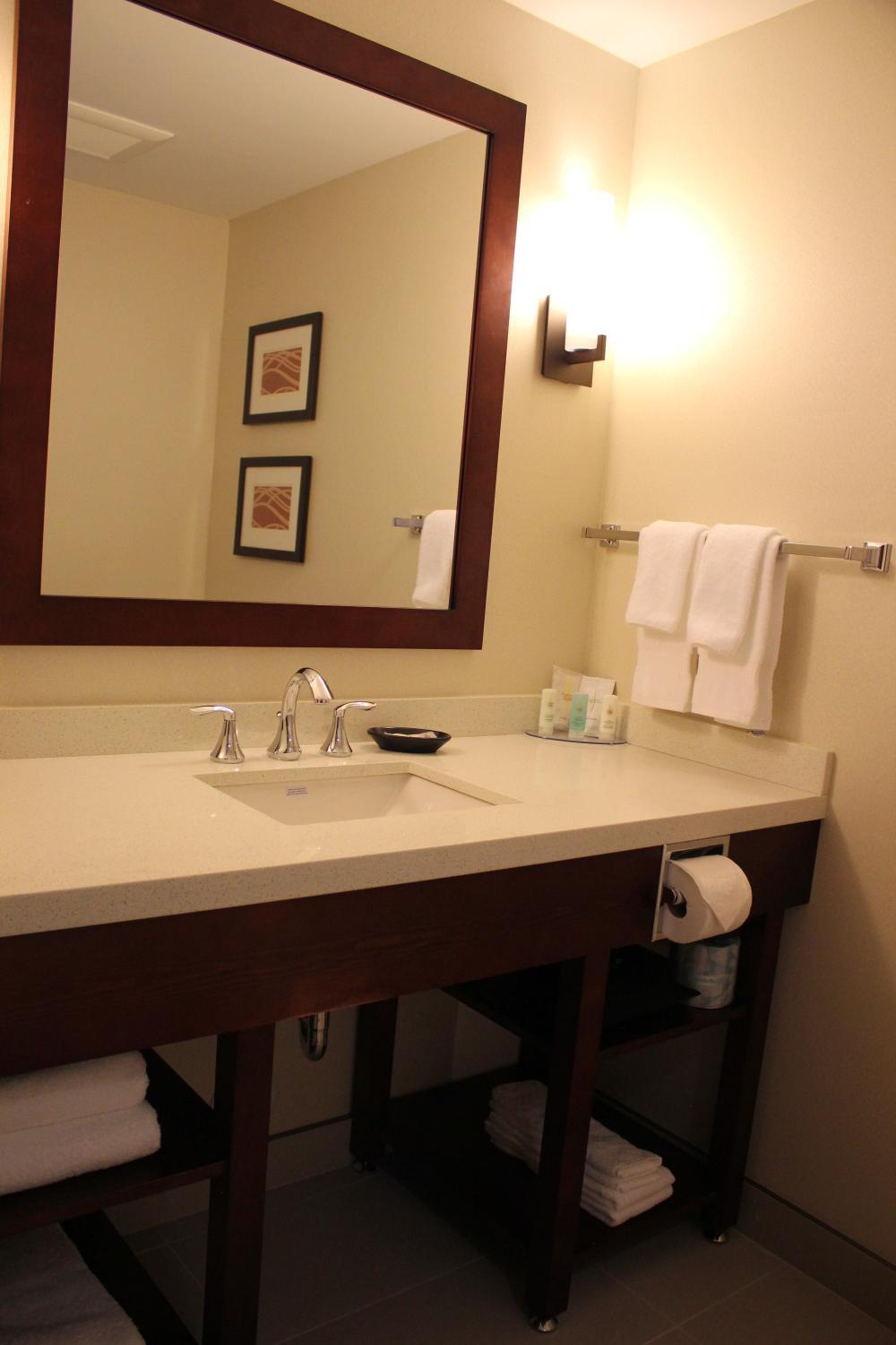 Bathroom 4, Comfort Inn & Suites Edmonton International Airport, Division No. 11