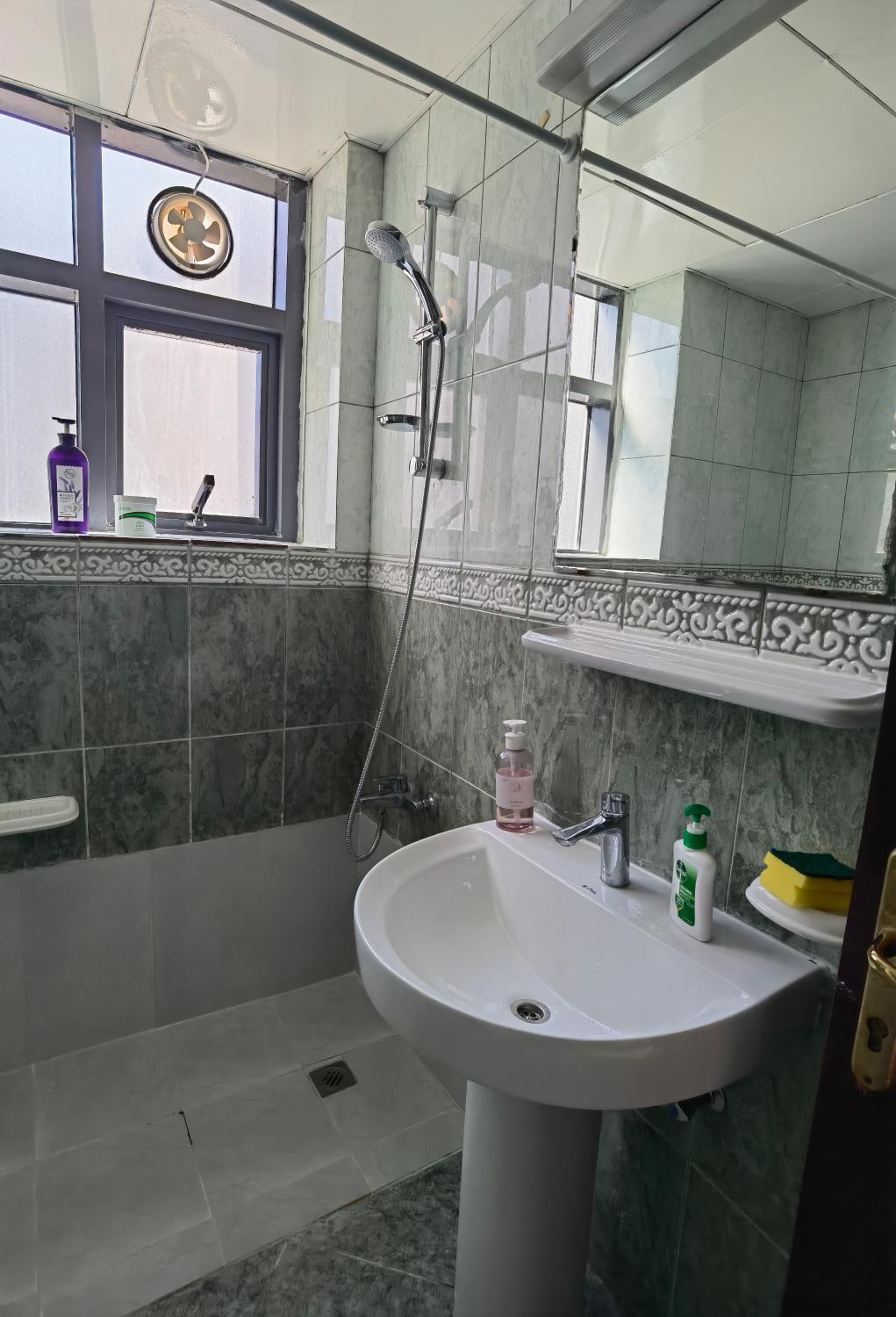 Bathroom, Ms. Zhang's Flat 303, Abu Dhabi City