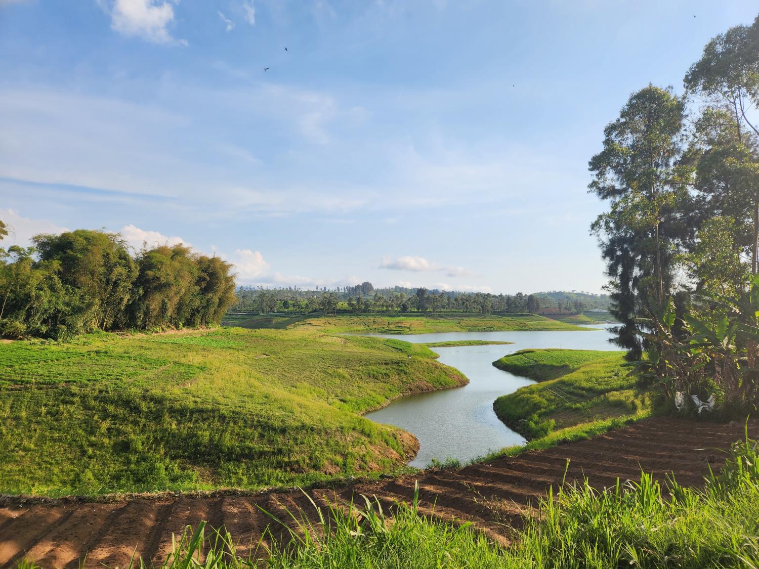 1, Kayak Glamping, Purwakarta