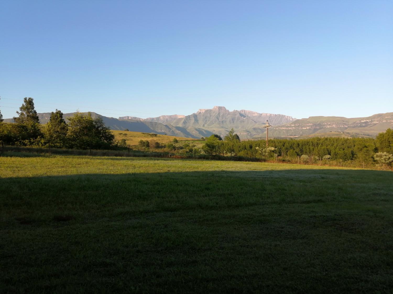 View