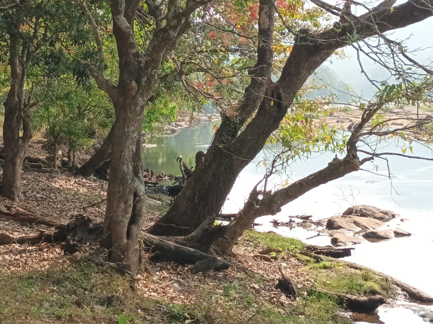 5, Magic Land, Thrissur