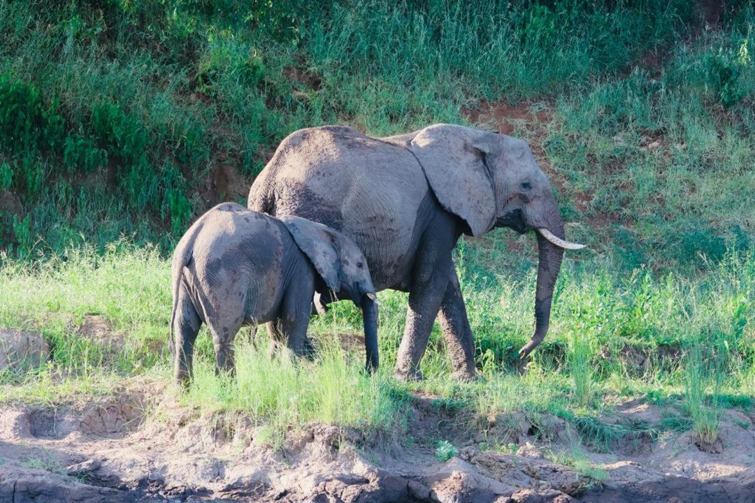 5, Winterthorn Lodge, Kafue