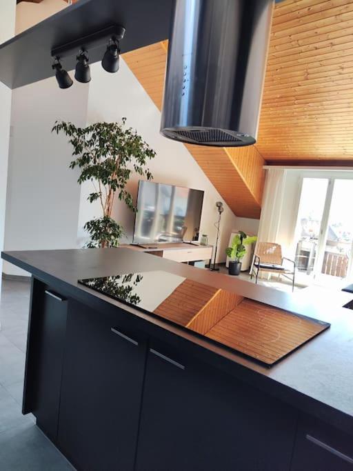 5, Stylish apartment with superb views, Brugg