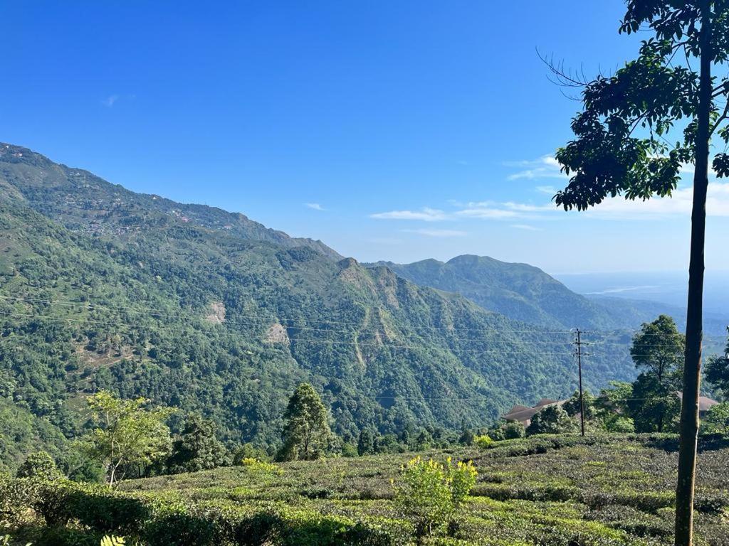4, Shalom Homestay, Darjiling