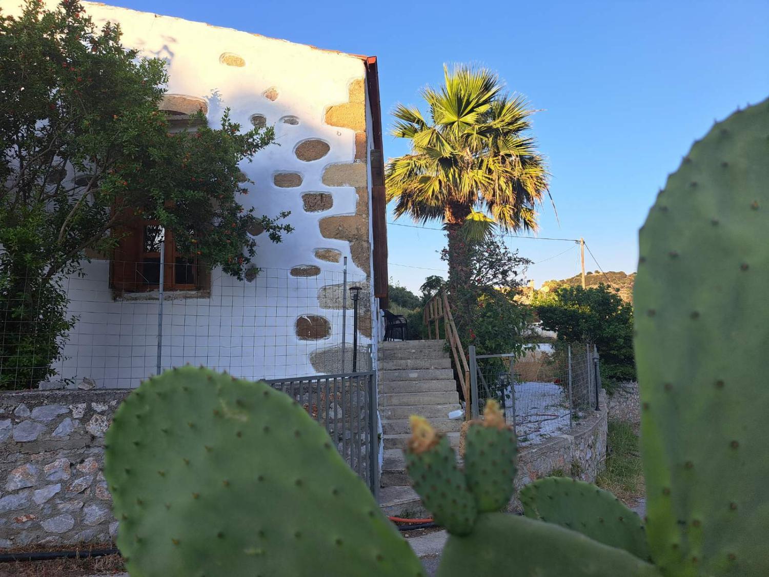 Exterior view 2, Villa Nama, Crete