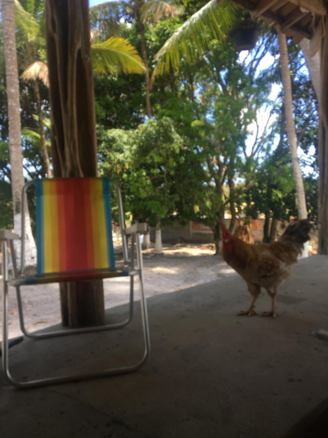 5, Casa Boa Vista, Esplanada