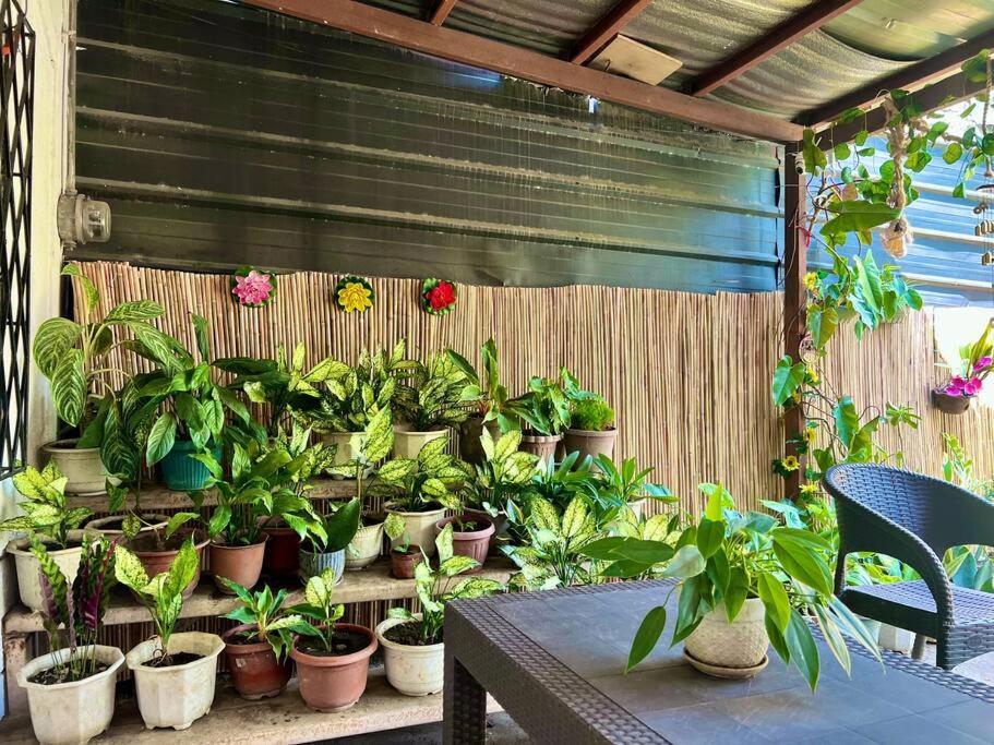 Garden 1, Suite Dreams Staycation - Cozy 2-BR - Wi-Fi Garden Kitchen, Dasmariñas