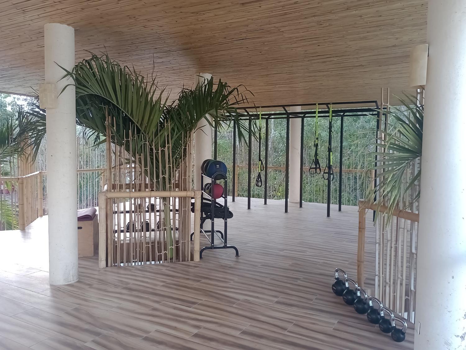 4, Estudios en Muuk, Cozumel