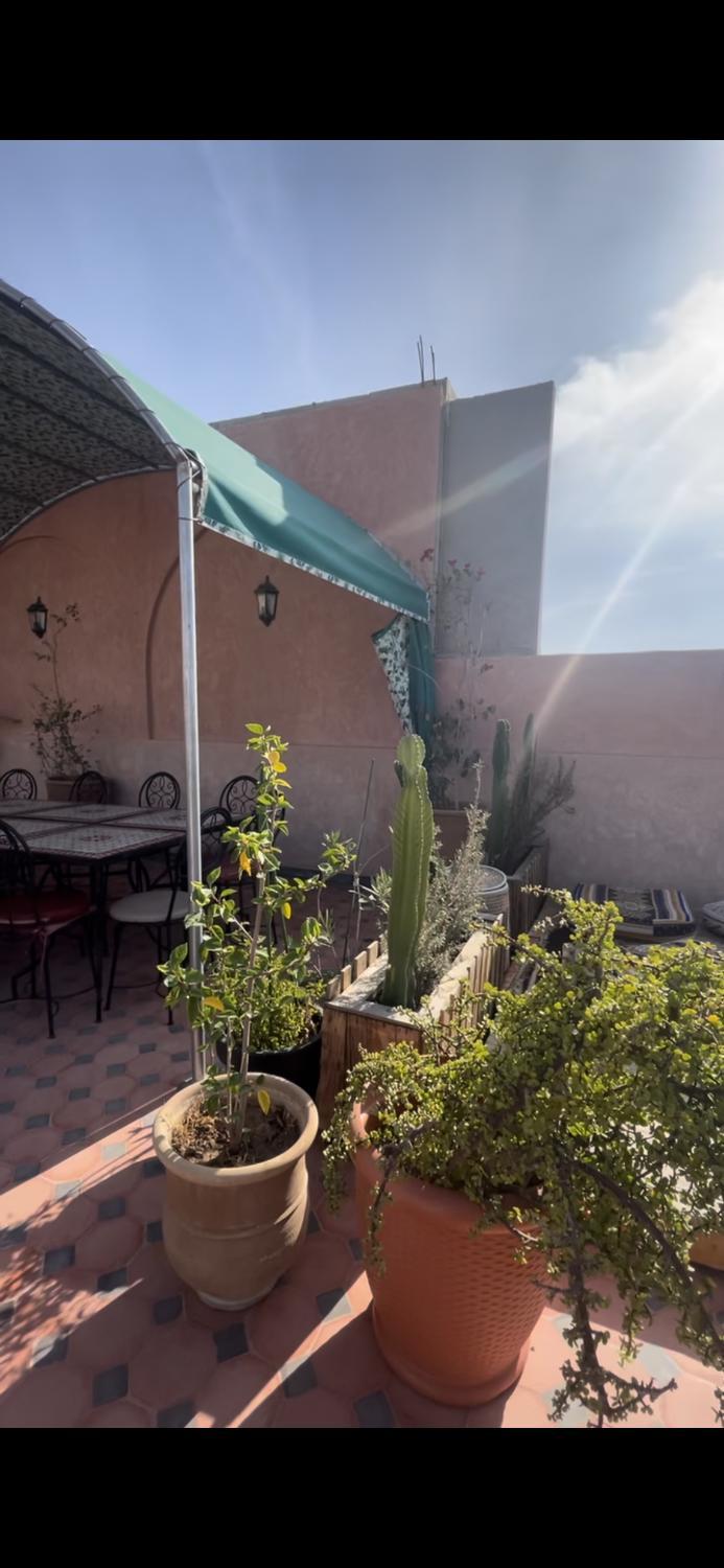 3, Oasis Urbaine - Cosy & Soleil, Taroudannt