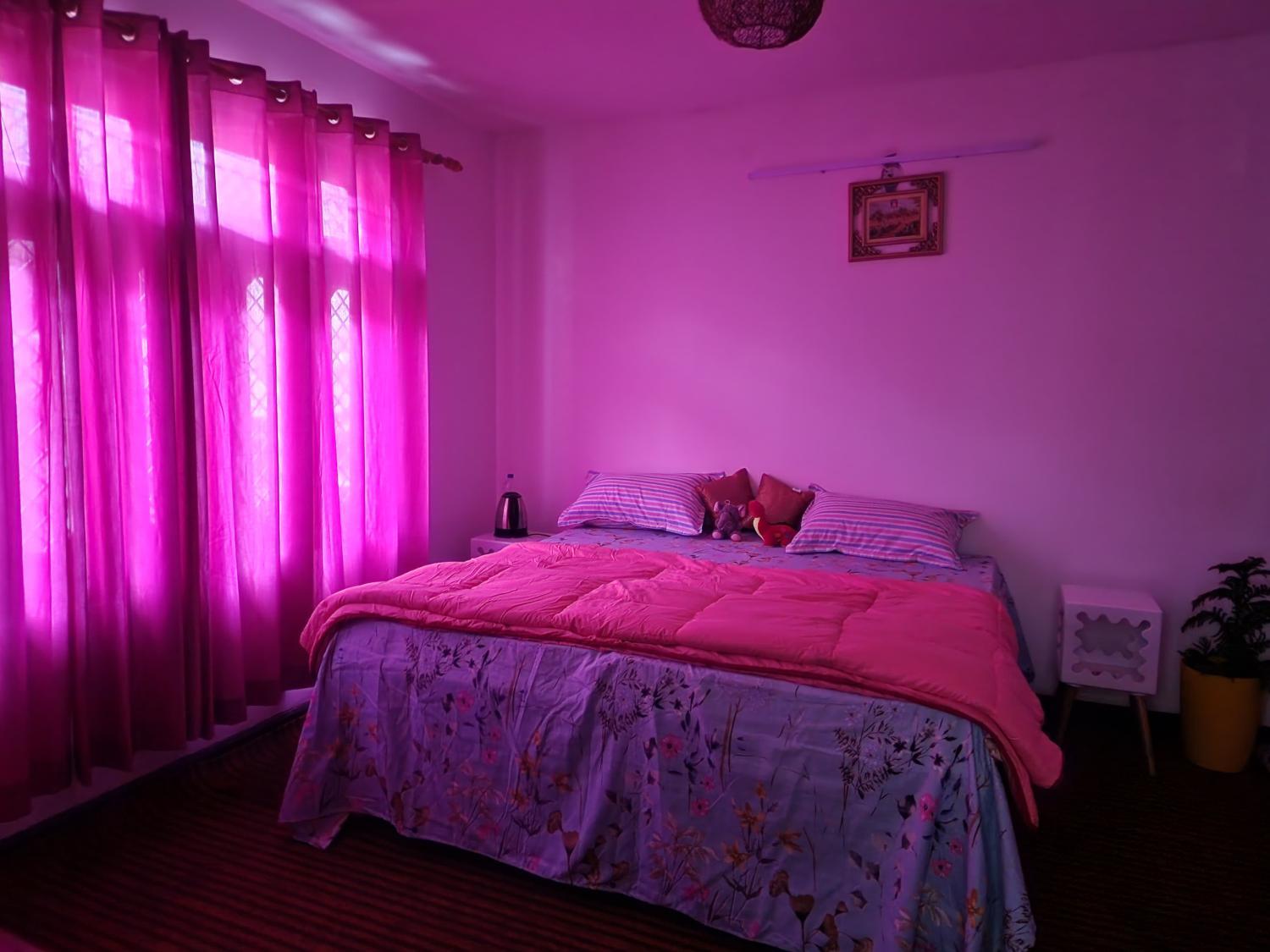 4, Samarpan, Nainital
