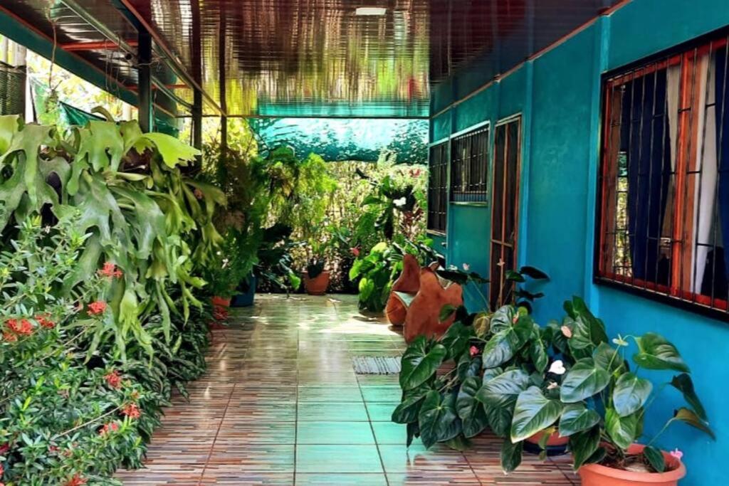 4, Hospedaje Valencia Osa, CR, Osa