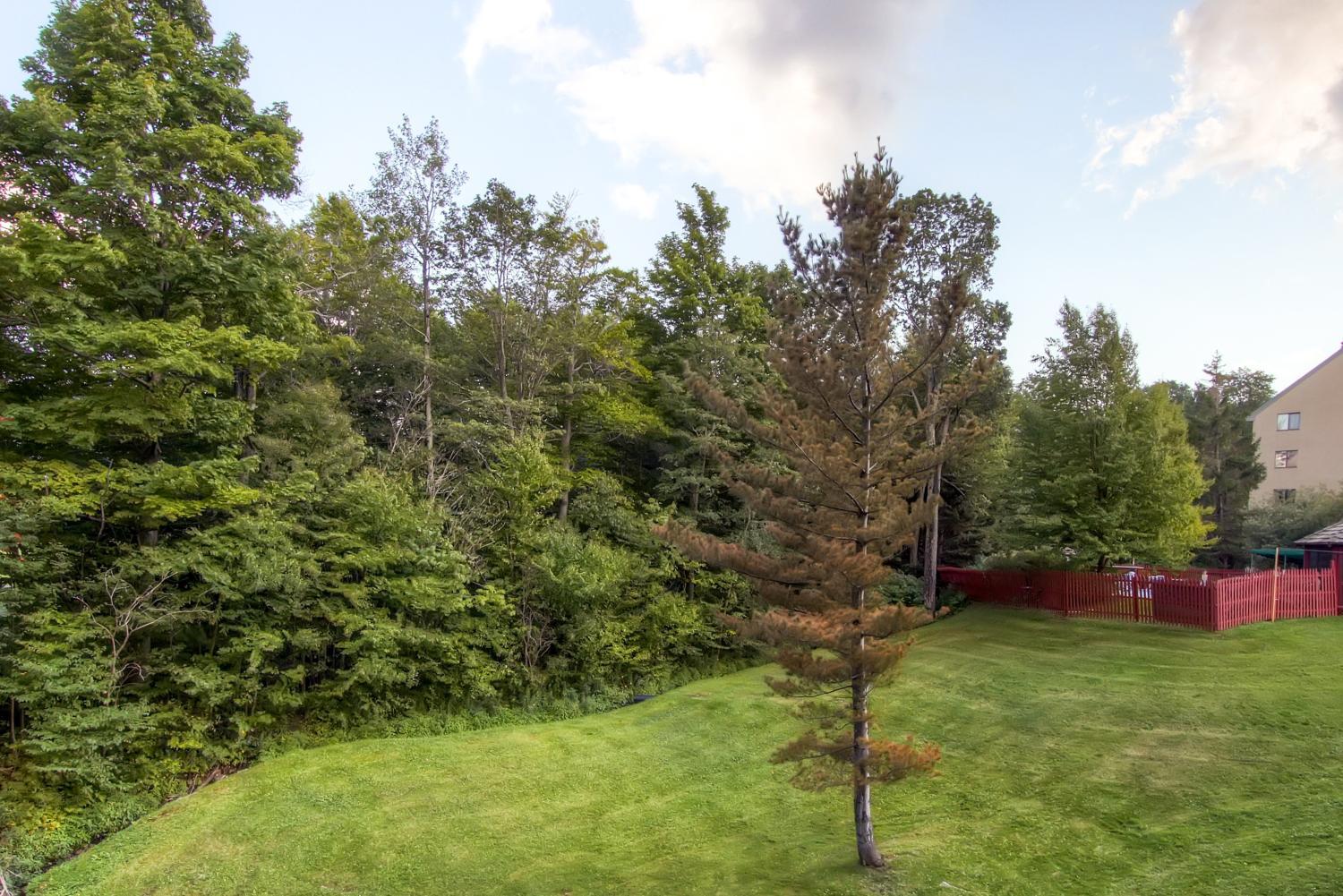 3, Mountain Green Condos at Killington, Rutland