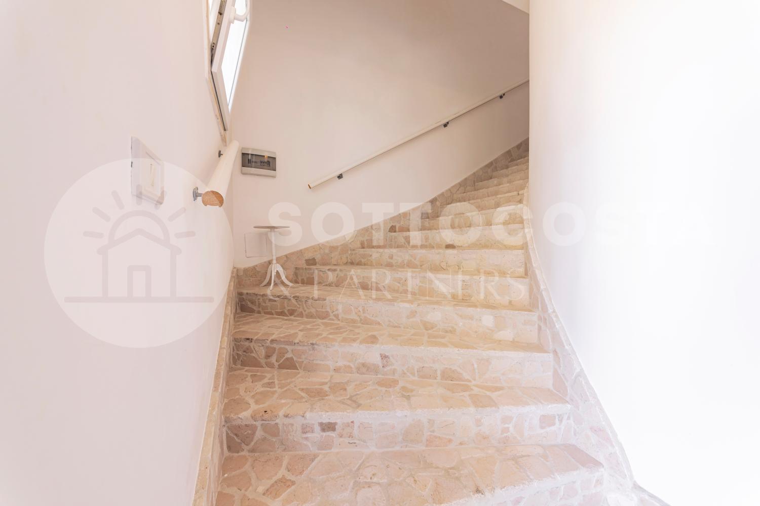 4, Palme, Lecce