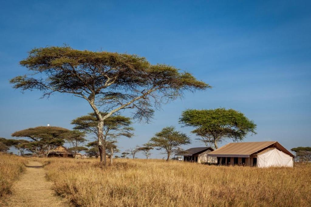 Exterior view 2, Green Garden Serengeti Luxury Tented Camp, Serengeti
