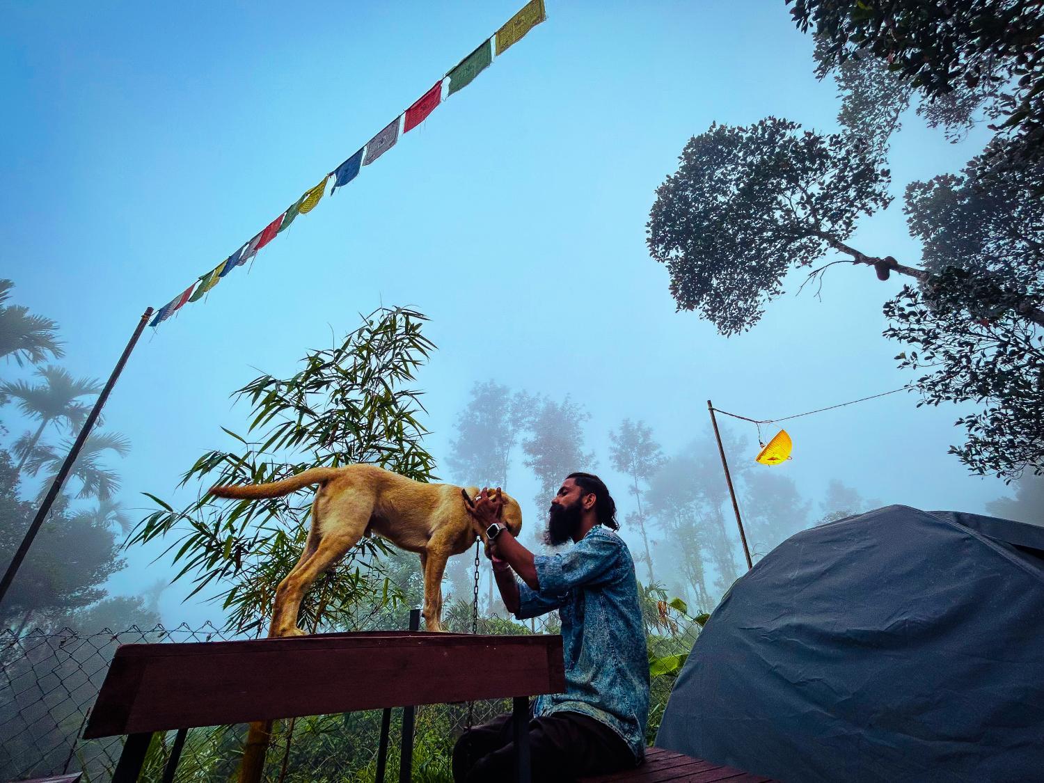 Garden 2, HAPPY FEET CAMPING, Wayanad