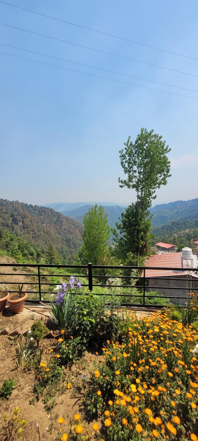 3, Smriti, Nainital