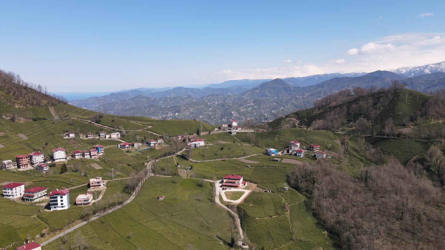 2, Sevgi Konagı, Kalkandere