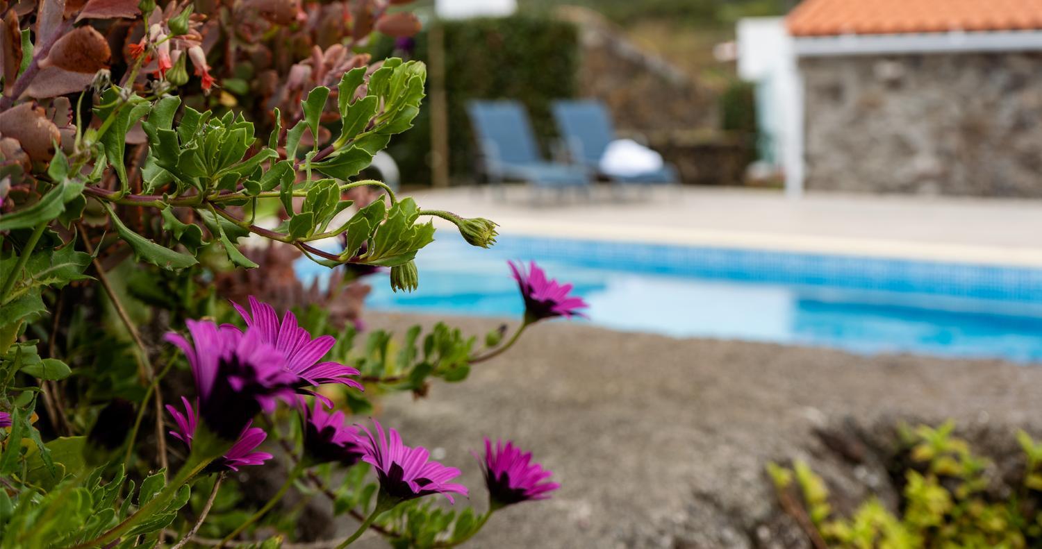 Garden 5, Charming Holiday House - House & Apartment, Praia da Vitória