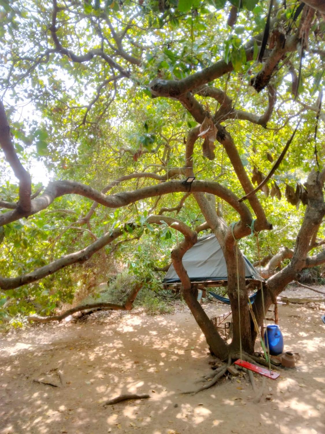5, Peace Garden Inn, Viluppuram