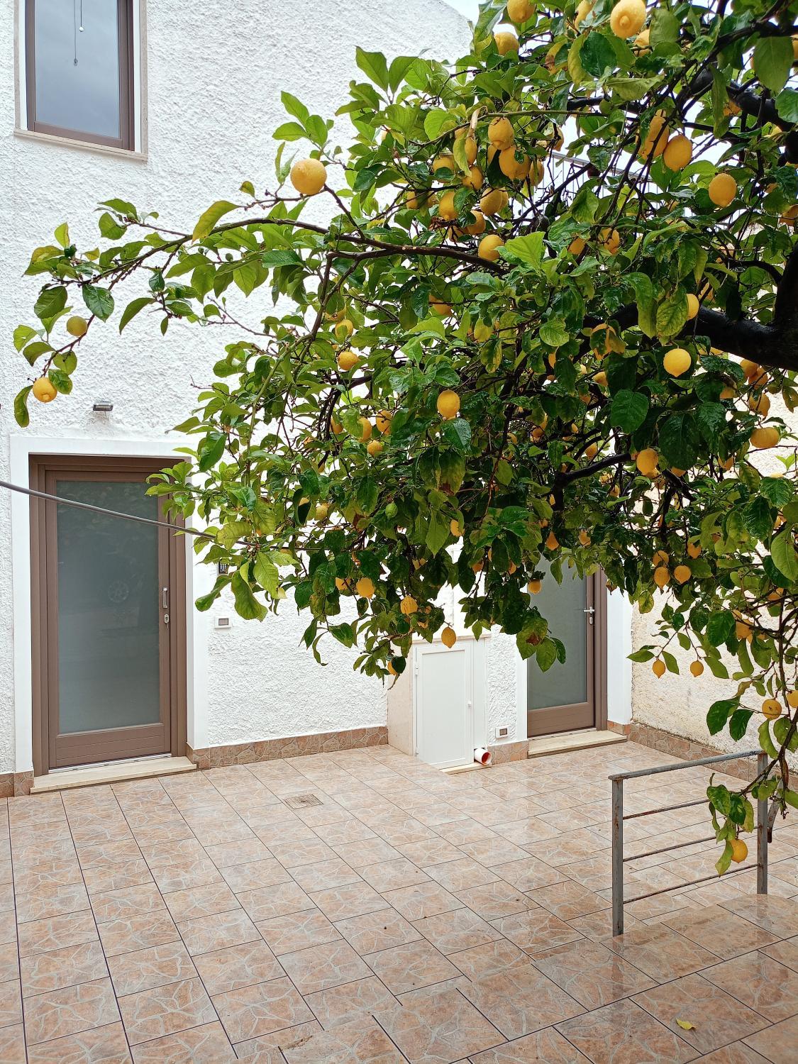 Garden 5, A casa di Angela, Trapani