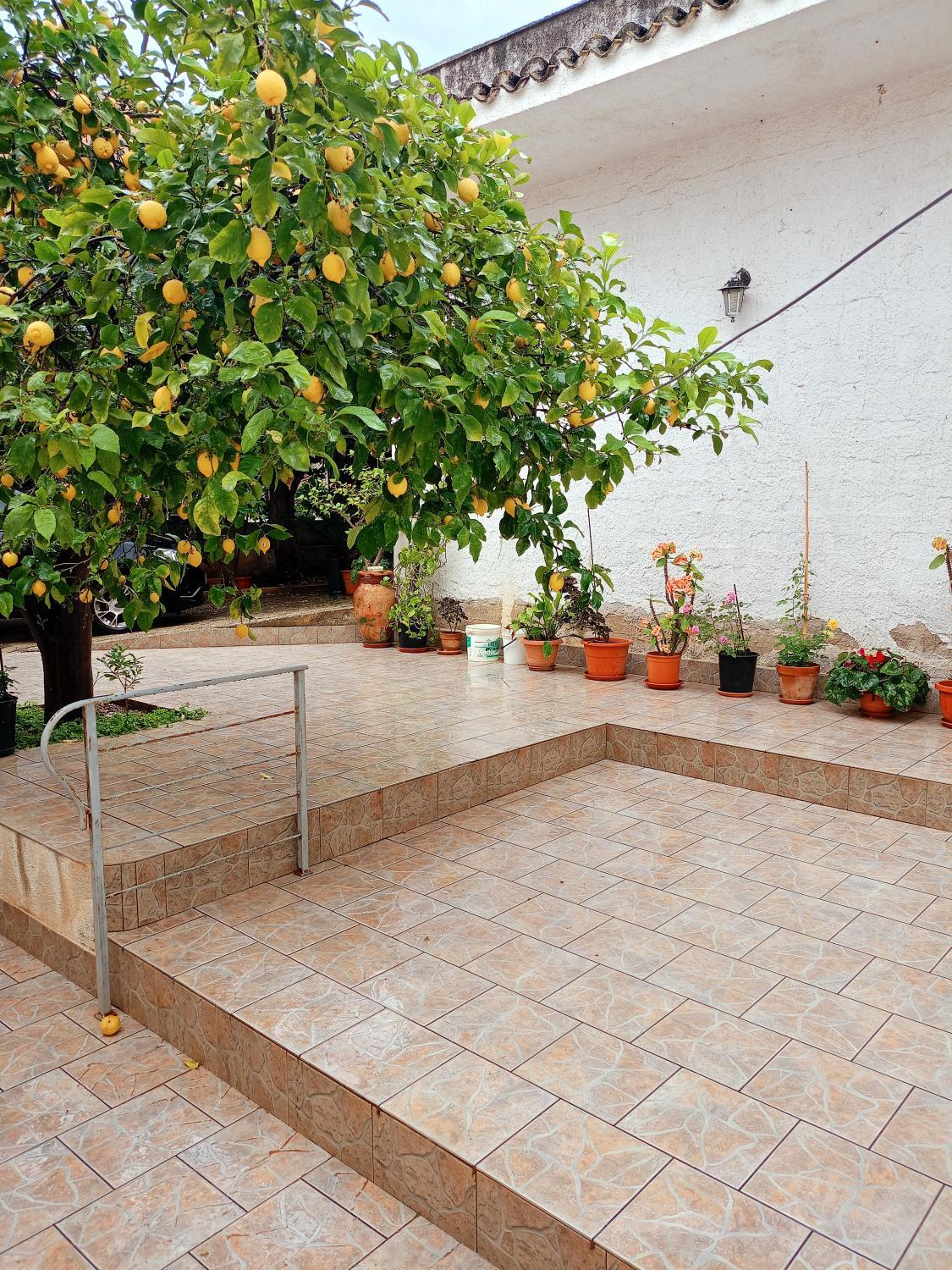 Garden 4, A casa di Angela, Trapani