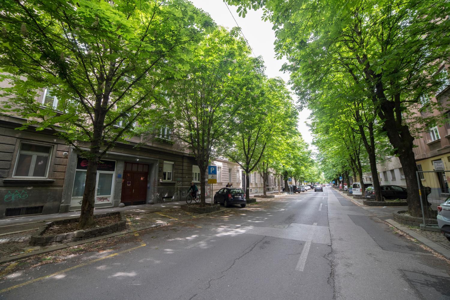 Surrounding environment 2, Apartments Pamer, 4th floor, no elevator, Zagreb