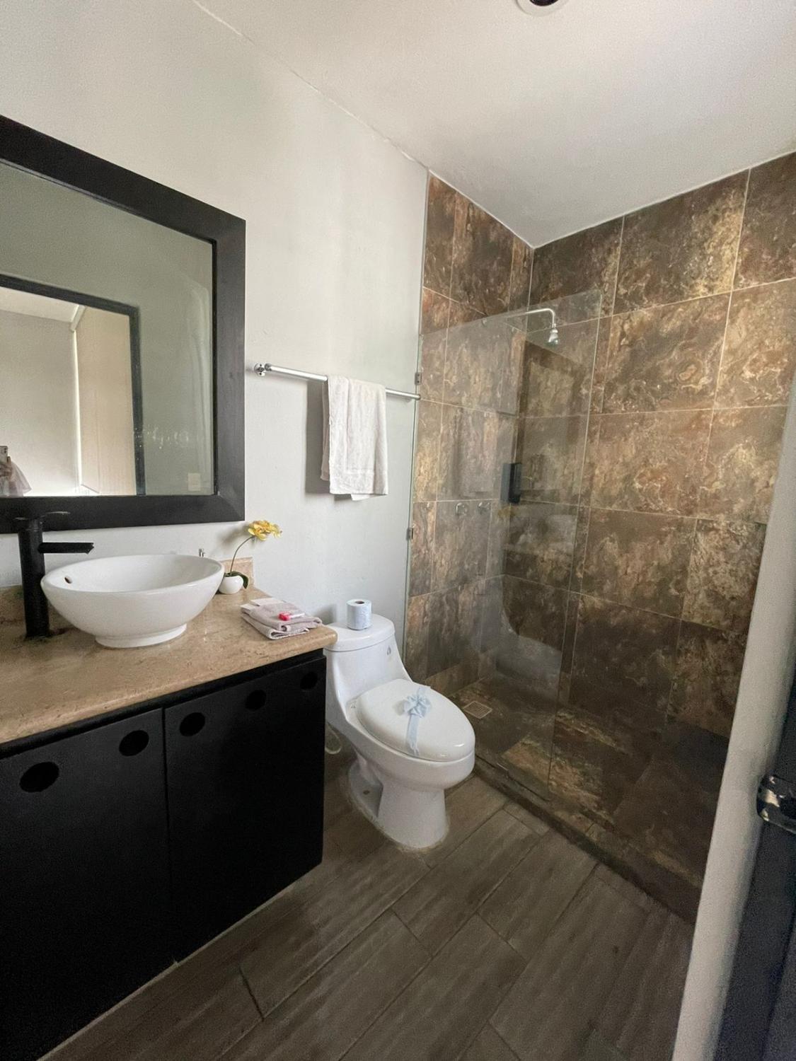 3, Apartment with rooftop near 5th avenue, Cozumel