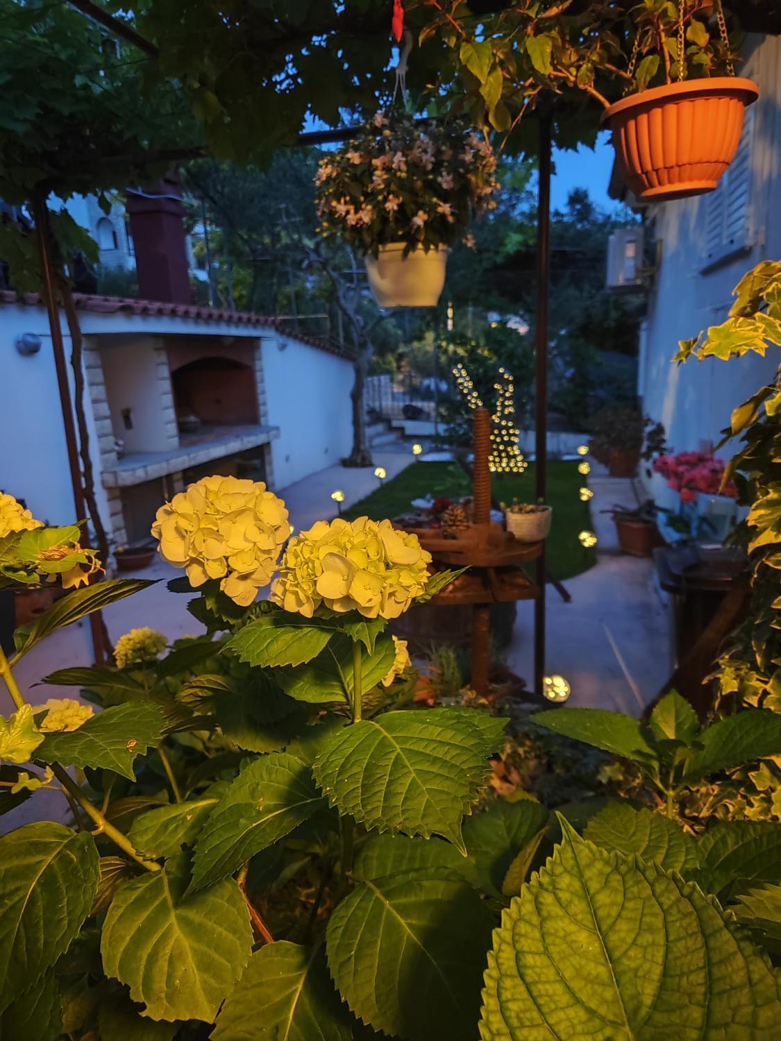 Facilities 5, Apartmani Anđela Kordic, Lopar/Supetarska Draga