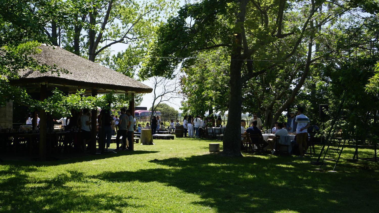 Restaurant, Spinoglio Hotel de vina, n.a344